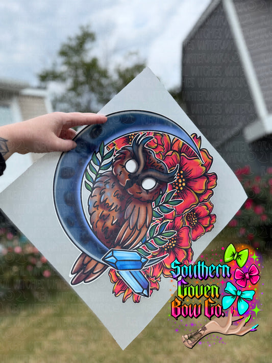 Owl - Adult