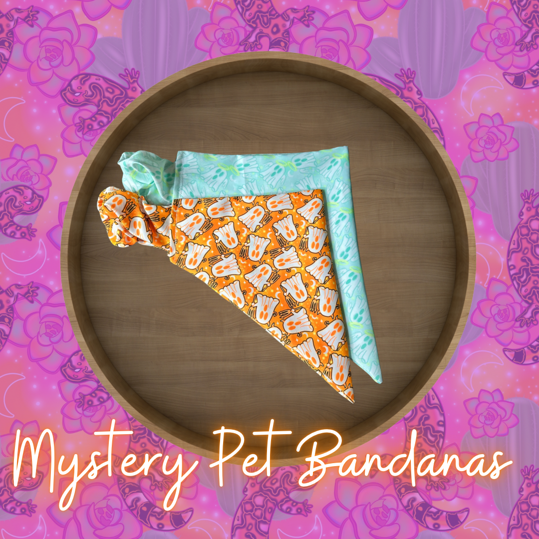 $10 Mystery Pet Bandanas