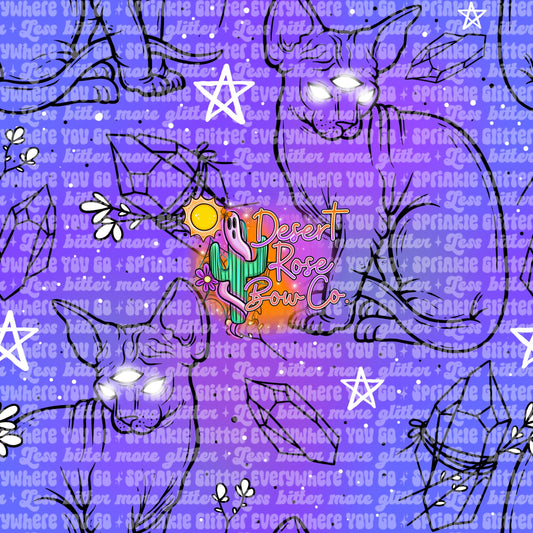 All Seeing Kitty