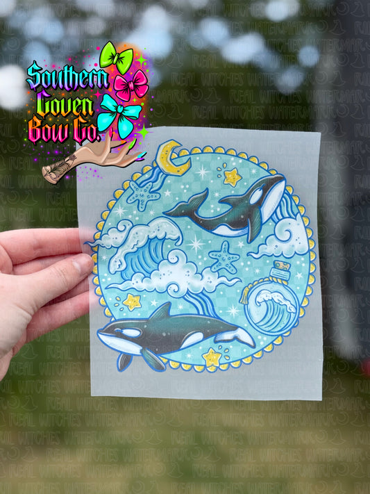 Orca Dreams - Toddler