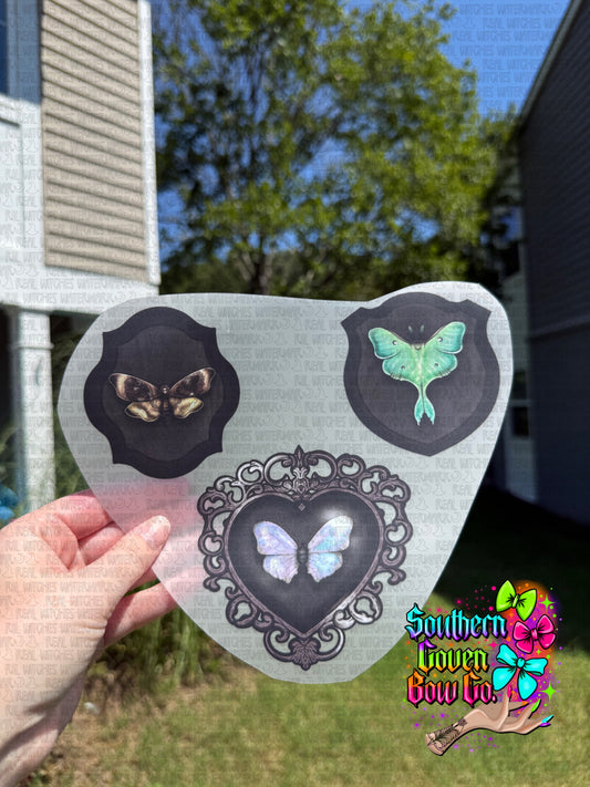 Luna Moth Frames - Youth